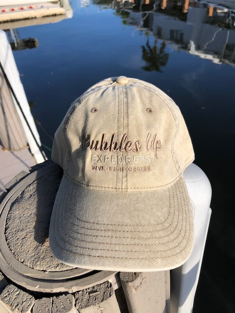 Bubbles Up Dad Hat